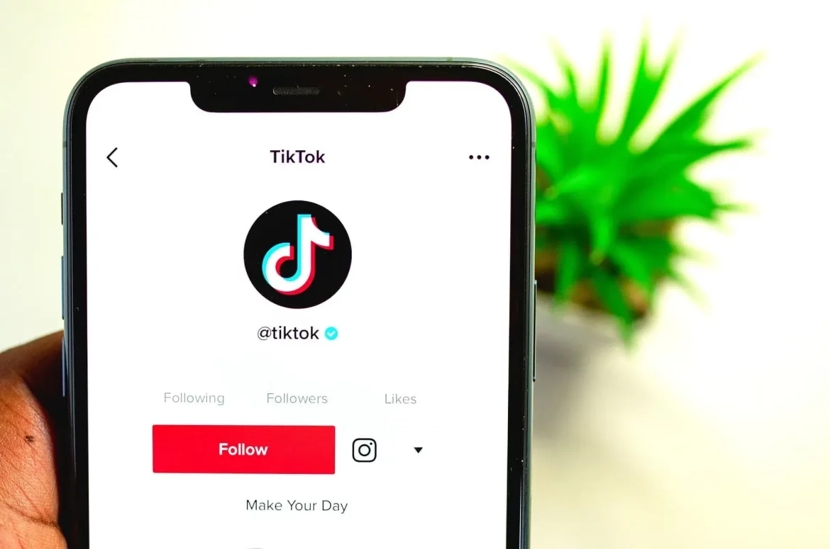 bannir un compte TikTok